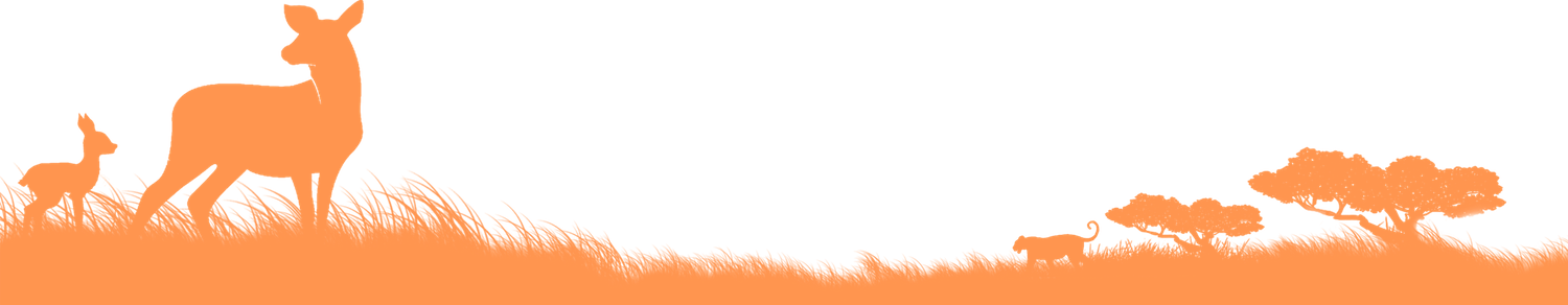 footer1-copy.png-copy footer1-copy.png-copy